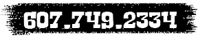 Call 607.749.2334